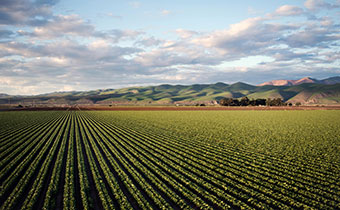 Farm