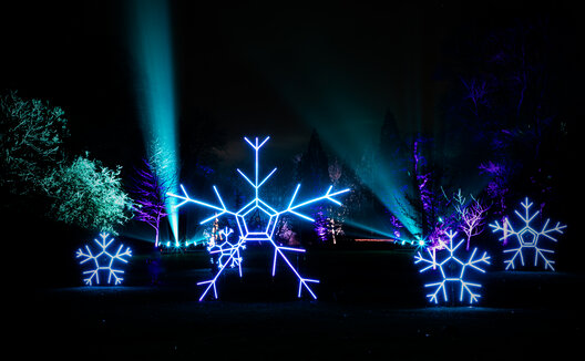 Holiday Light Display